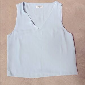 Aritzia Babaton Murphy Sleeveless Blouse